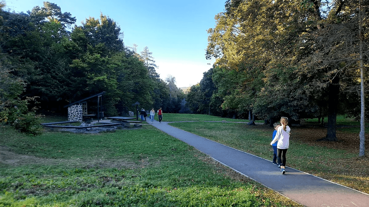 Bankov Forest Park